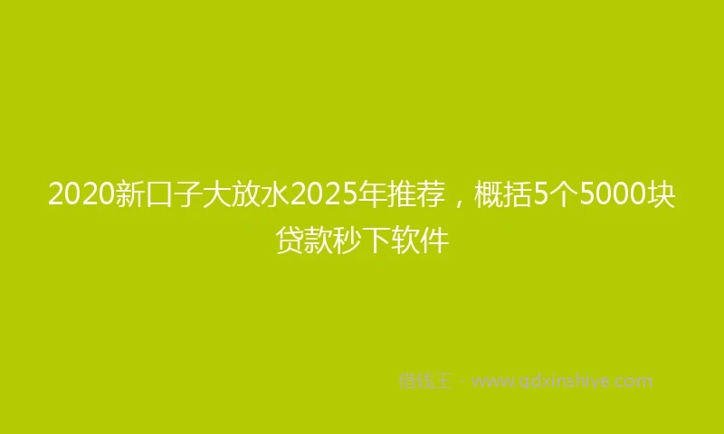 2020新口子大放水2025年推荐，概括5个5000块贷款秒下软件