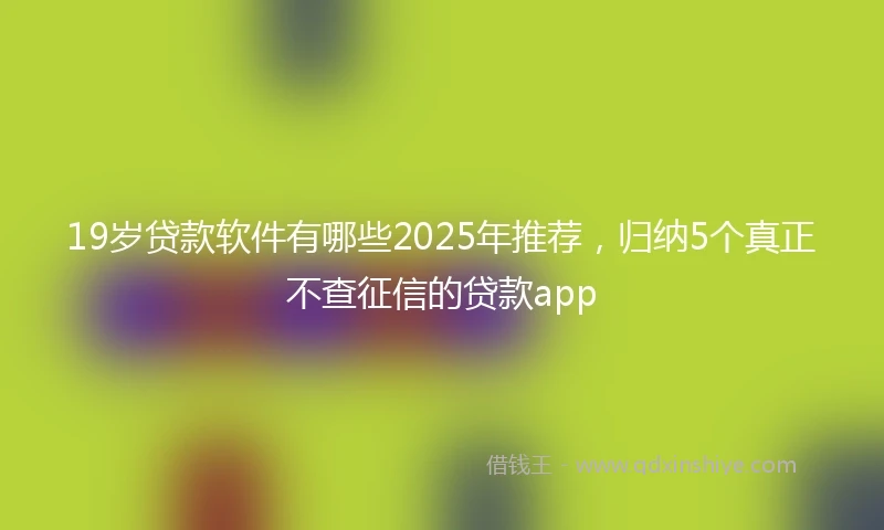 19岁贷款软件有哪些2025年推荐，归纳5个真正不查征信的贷款app
