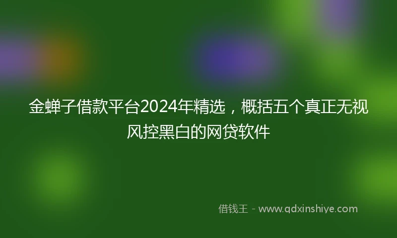 金蝉子借款平台2024年精选，概括五个真正无视风控黑白的网贷软件
