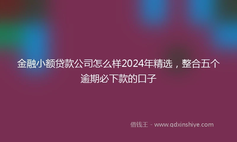 金融小额贷款公司怎么样2024年精选，整合五个逾期必下款的口子