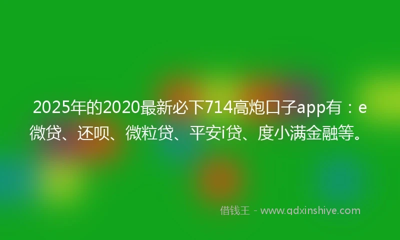 2025年的2020最新必下714高炮口子app有：e微贷、还呗、微粒贷、平安i贷、度小满金融等。