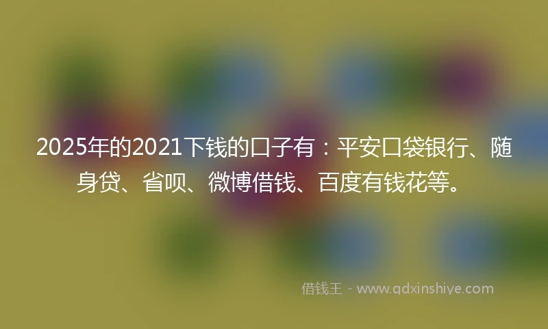 2025年的2021下钱的口子有：平安口袋银行、随身贷、省呗、微博借钱、百度有钱花等。