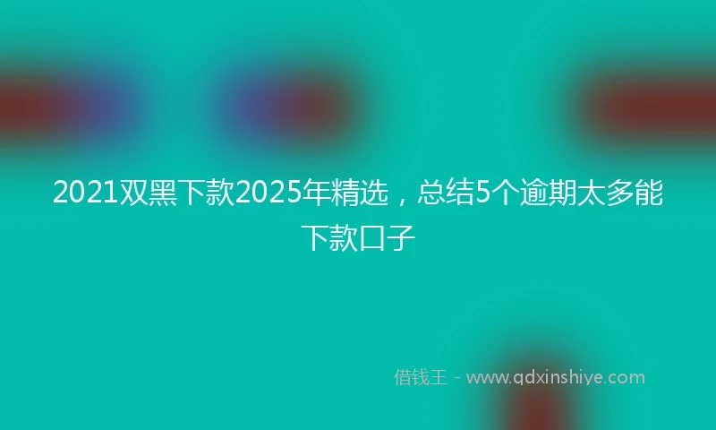 2021双黑下款2025年精选，总结5个逾期太多能下款口子