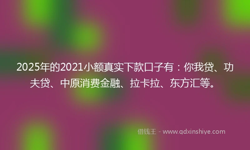 2025年的2021小额真实下款口子有：你我贷、功夫贷、中原消费金融、拉卡拉、东方汇等。