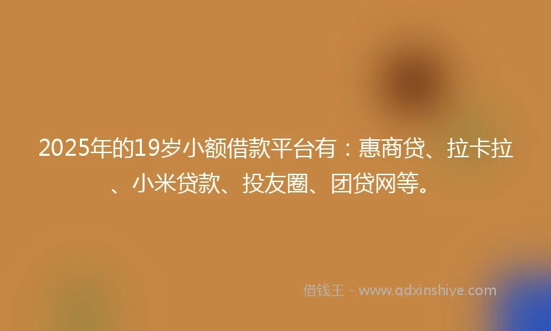 2025年的19岁小额借款平台有：惠商贷、拉卡拉、小米贷款、投友圈、团贷网等。