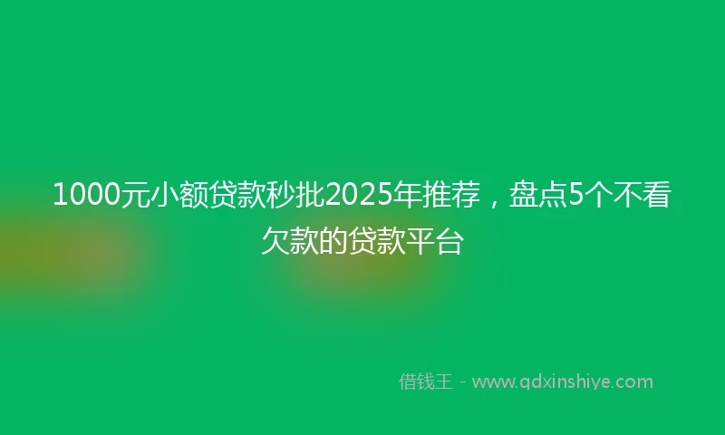 1000元小额贷款秒批2025年推荐，盘点5个不看欠款的贷款平台