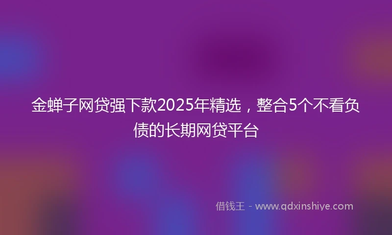 金蝉子网贷强下款2025年精选，整合5个不看负债的长期网贷平台