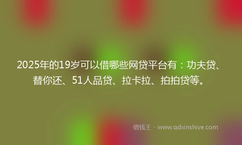 2025年的19岁可以借哪些网贷平台有：功夫贷、替你还、51人品贷、拉卡拉、拍拍贷等。