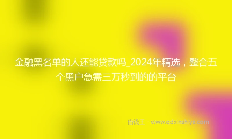 金融黑名单的人还能贷款吗_2024年精选，整合五个黑户急需三万秒到的的平台