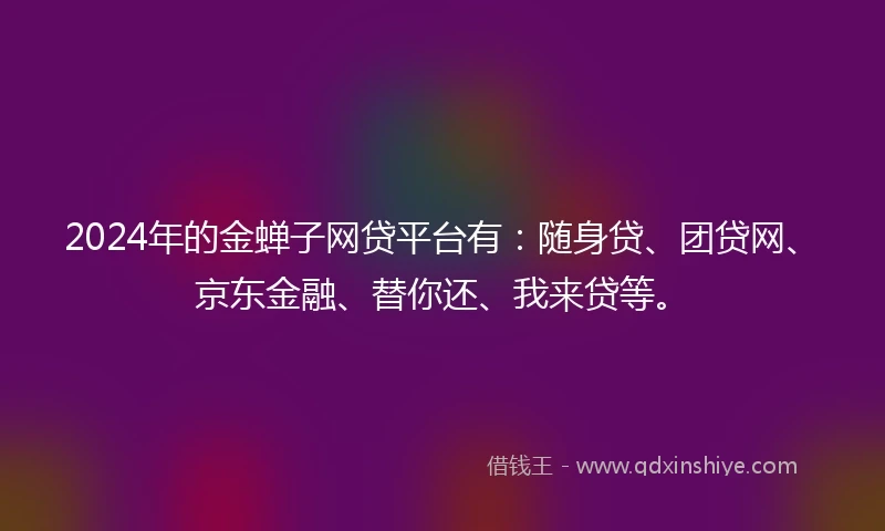 2024年的金蝉子网贷平台有：随身贷、团贷网、京东金融、替你还、我来贷等。