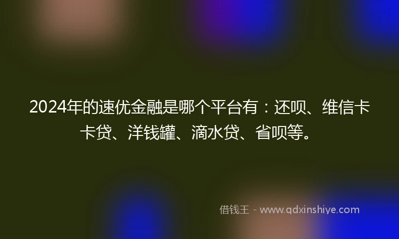 2024年的速优金融是哪个平台有：还呗、维信卡卡贷、洋钱罐、滴水贷、省呗等。