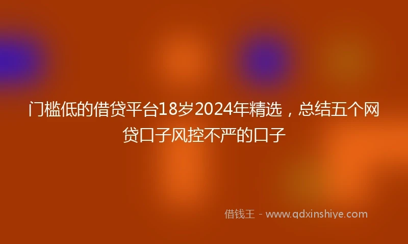 门槛低的借贷平台18岁2024年精选，总结五个网贷口子风控不严的口子