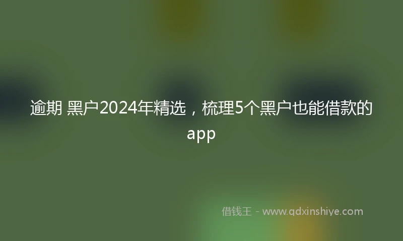逾期 黑户2024年精选，梳理5个黑户也能借款的app