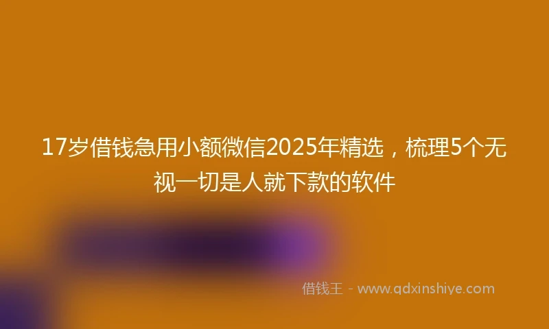17岁借钱急用小额微信2025年精选，梳理5个无视一切是人就下款的软件
