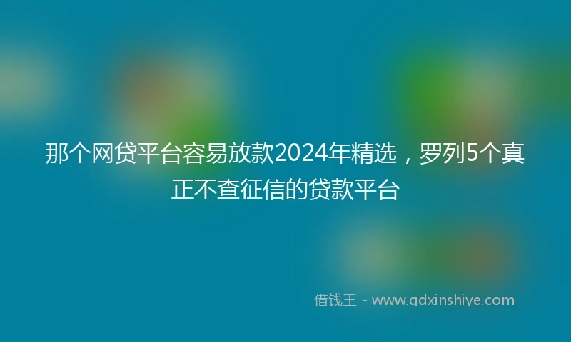 那个网贷平台容易放款2024年精选，罗列5个真正不查征信的贷款平台