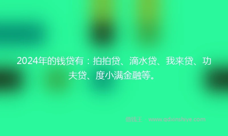 2024年的钱贷有：拍拍贷、滴水贷、我来贷、功夫贷、度小满金融等。