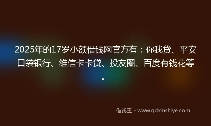 2025年的17岁小额借钱网官方有：你我贷、平安口袋银行、维信卡卡贷、投友圈、百度有钱花等。