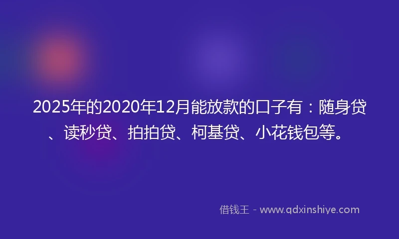 2025年的2020年12月能放款的口子有：随身贷、读秒贷、拍拍贷、柯基贷、小花钱包等。