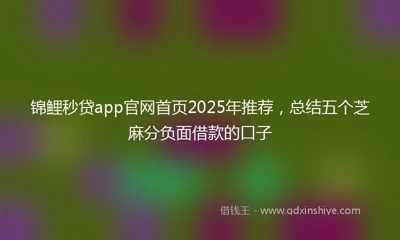 锦鲤秒贷app官网首页2025年推荐，总结五个芝麻分负面借款的口子
