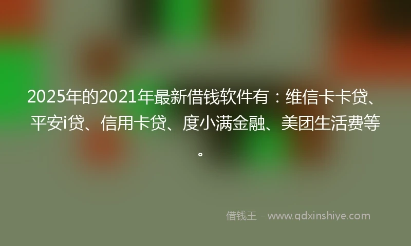 2025年的2021年最新借钱软件有：维信卡卡贷、平安i贷、信用卡贷、度小满金融、美团生活费等。