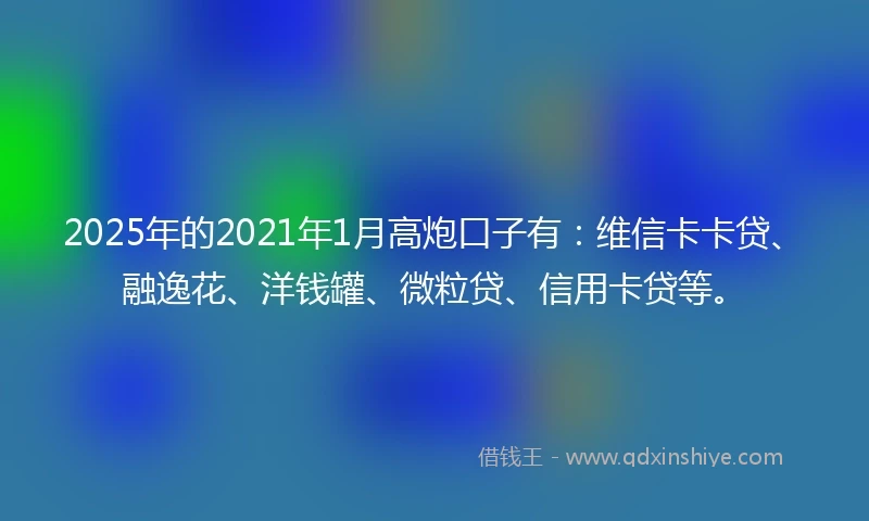 2025年的2021年1月高炮口子有：维信卡卡贷、融逸花、洋钱罐、微粒贷、信用卡贷等。