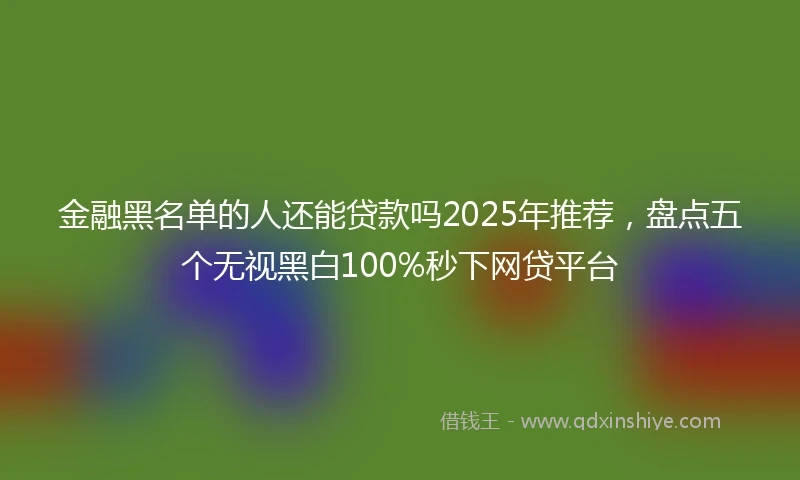 金融黑名单的人还能贷款吗2025年推荐，盘点五个无视黑白100%秒下网贷平台