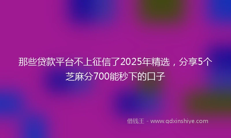 那些贷款平台不上征信了2025年精选，分享5个芝麻分700能秒下的口子