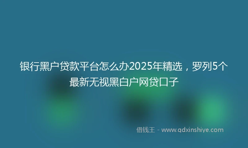 银行黑户贷款平台怎么办2025年精选，罗列5个最新无视黑白户网贷口子