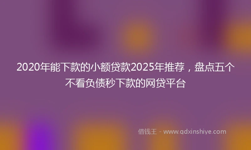 2020年能下款的小额贷款2025年推荐，盘点五个不看负债秒下款的网贷平台