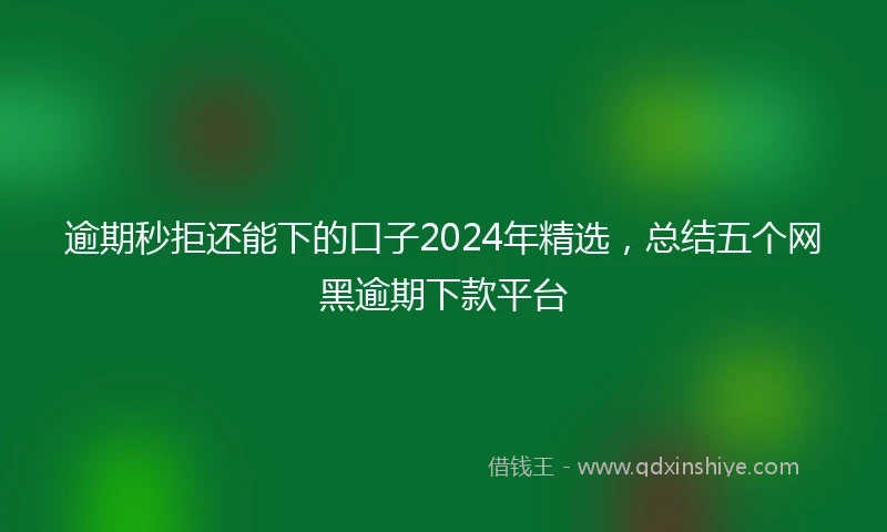 逾期秒拒还能下的口子2024年精选，总结五个网黑逾期下款平台
