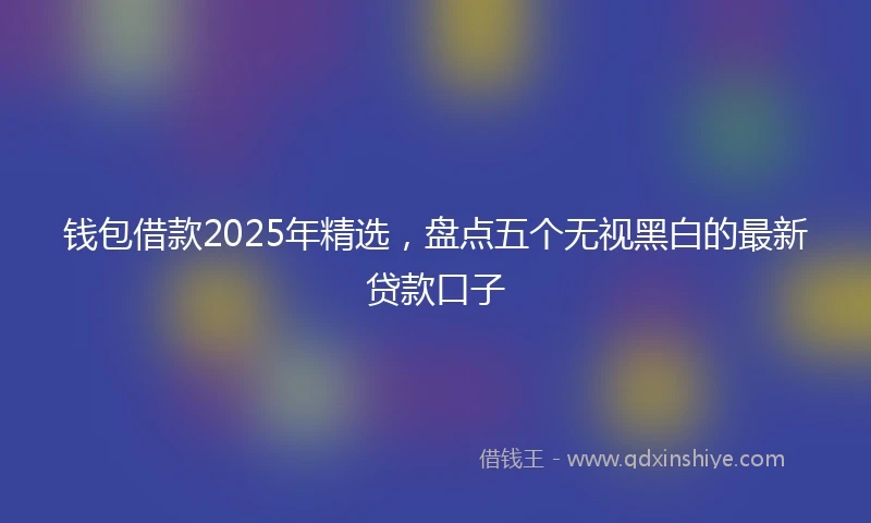 钱包借款2025年精选，盘点五个无视黑白的最新贷款口子