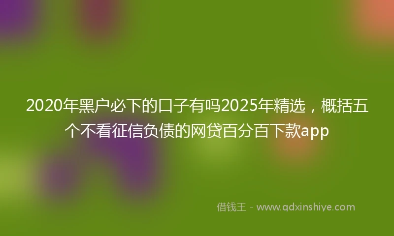 2020年黑户必下的口子有吗2025年精选，概括五个不看征信负债的网贷百分百下款app