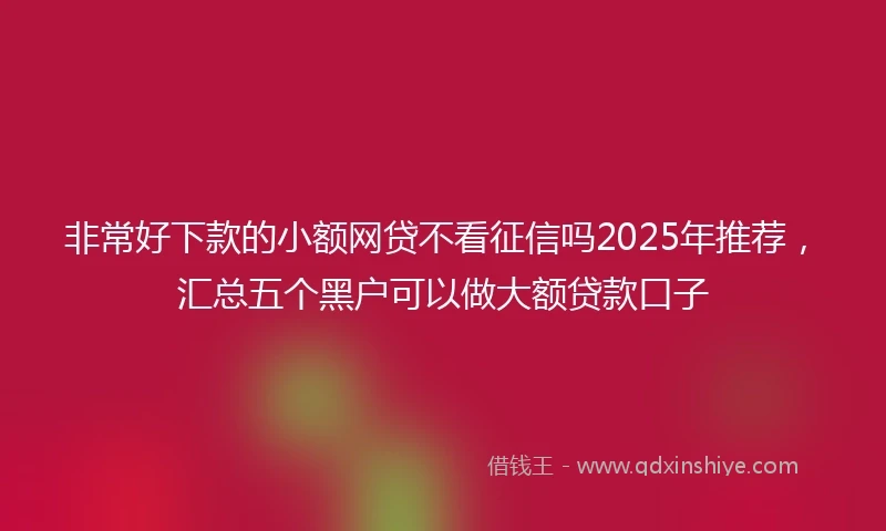 非常好下款的小额网贷不看征信吗2025年推荐，汇总五个黑户可以做大额贷款口子