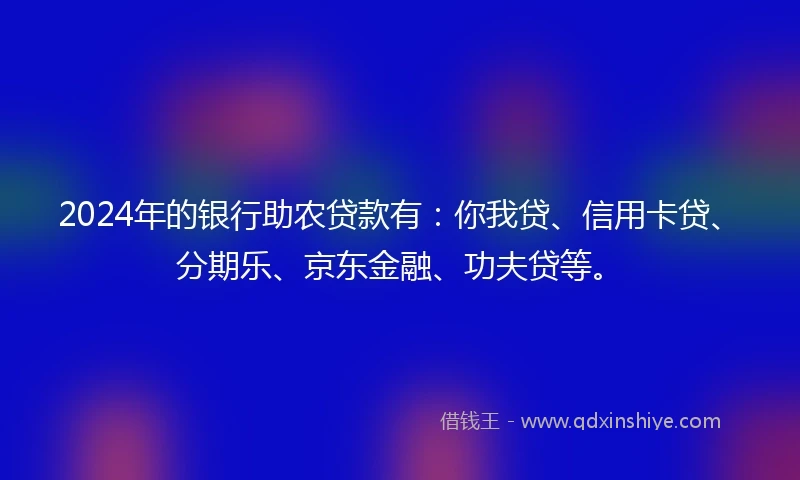 2024年的银行助农贷款有：你我贷、信用卡贷、分期乐、京东金融、功夫贷等。