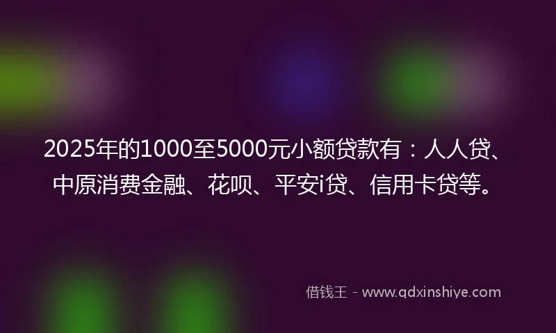 2025年的1000至5000元小额贷款有：人人贷、中原消费金融、花呗、平安i贷、信用卡贷等。