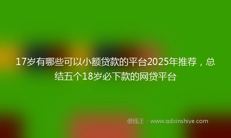 17岁有哪些可以小额贷款的平台2025年推荐，总结五个18岁必下款的网贷平台