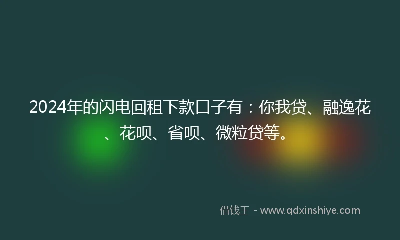 2024年的闪电回租下款口子有：你我贷、融逸花、花呗、省呗、微粒贷等。