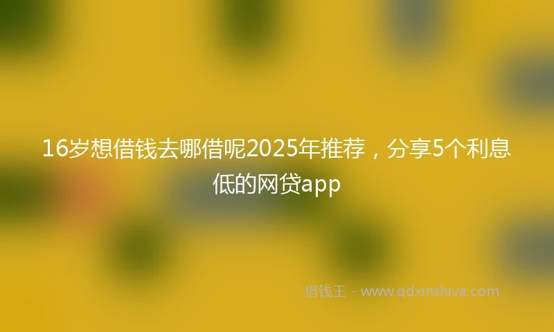 16岁想借钱去哪借呢2025年推荐，分享5个利息低的网贷app