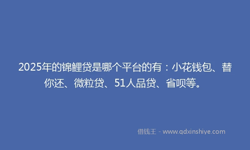 2025年的锦鲤贷是哪个平台的有：小花钱包、替你还、微粒贷、51人品贷、省呗等。