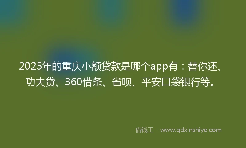 2025年的重庆小额贷款是哪个app有：替你还、功夫贷、360借条、省呗、平安口袋银行等。