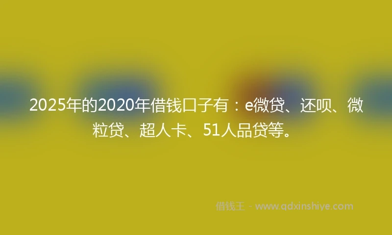 2025年的2020年借钱口子有：e微贷、还呗、微粒贷、超人卡、51人品贷等。