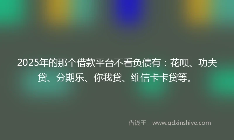 2025年的那个借款平台不看负债有：花呗、功夫贷、分期乐、你我贷、维信卡卡贷等。