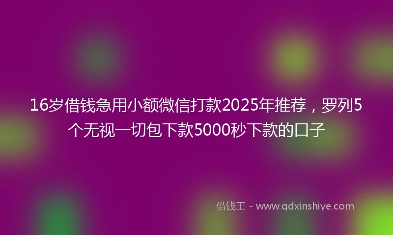 16岁借钱急用小额微信打款2025年推荐，罗列5个无视一切包下款5000秒下款的口子