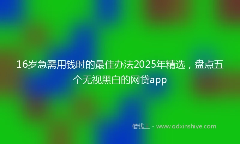 16岁急需用钱时的最佳办法2025年精选，盘点五个无视黑白的网贷app