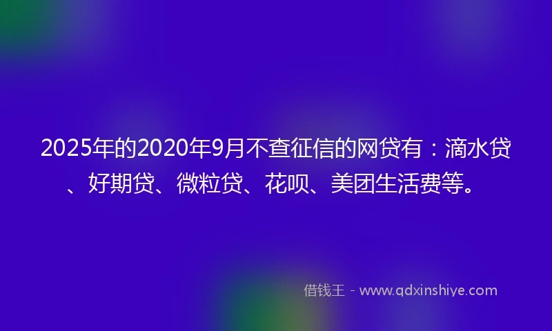 2025年的2020年9月不查征信的网贷有：滴水贷、好期贷、微粒贷、花呗、美团生活费等。