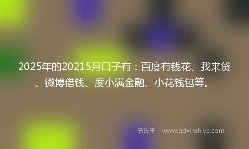 2025年的20215月口子有：百度有钱花、我来贷、微博借钱、度小满金融、小花钱包等。