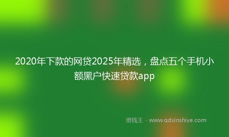 2020年下款的网贷2025年精选，盘点五个手机小额黑户快速贷款app