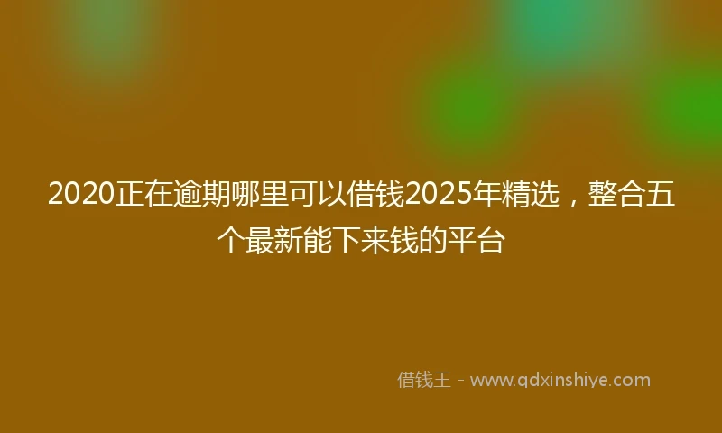 2020正在逾期哪里可以借钱2025年精选，整合五个最新能下来钱的平台