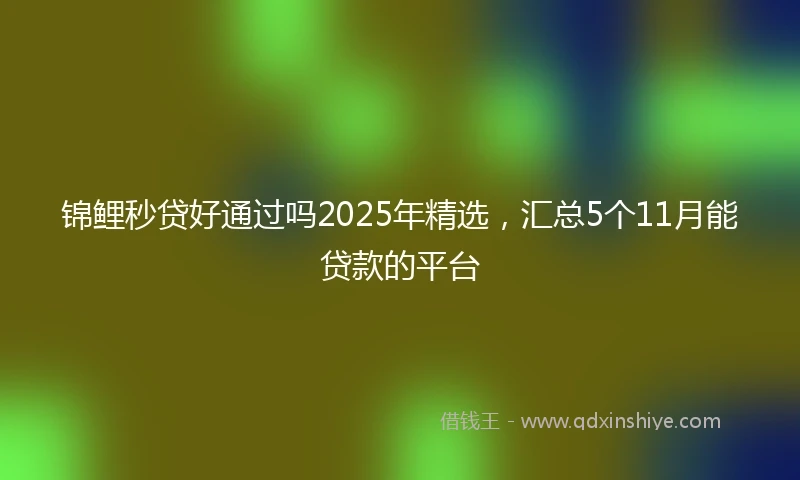 锦鲤秒贷好通过吗2025年精选，汇总5个11月能贷款的平台