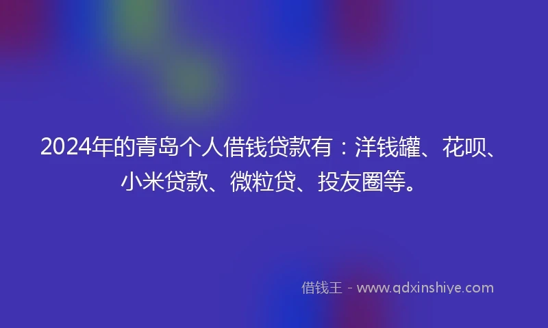 2024年的青岛个人借钱贷款有：洋钱罐、花呗、小米贷款、微粒贷、投友圈等。